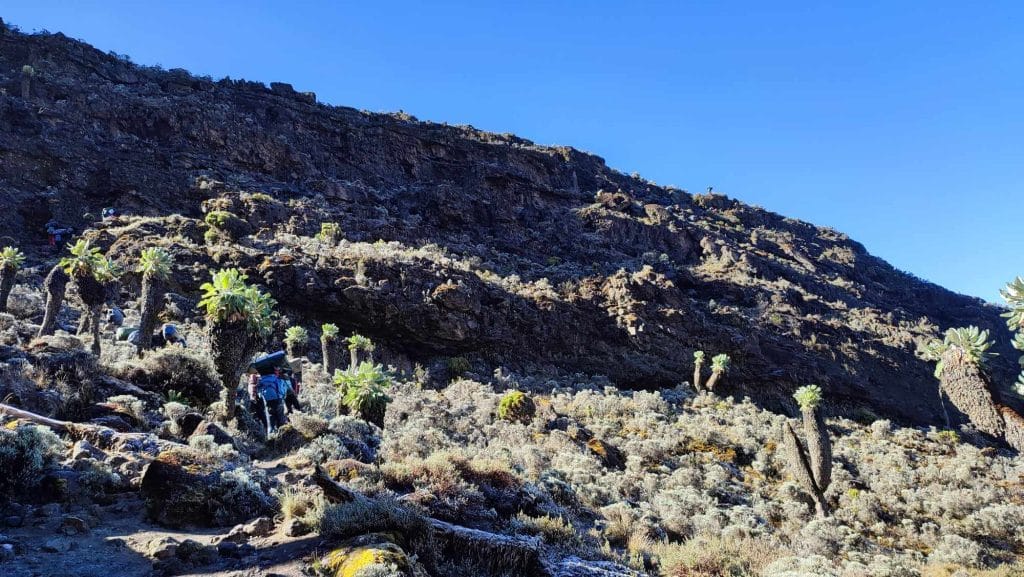Kilimanjaro Tanzania Machame Barranco Wall
