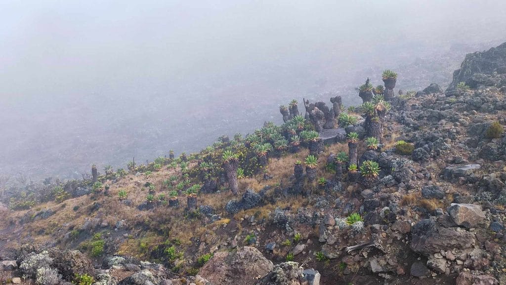 Kilimanjaro Tanzania