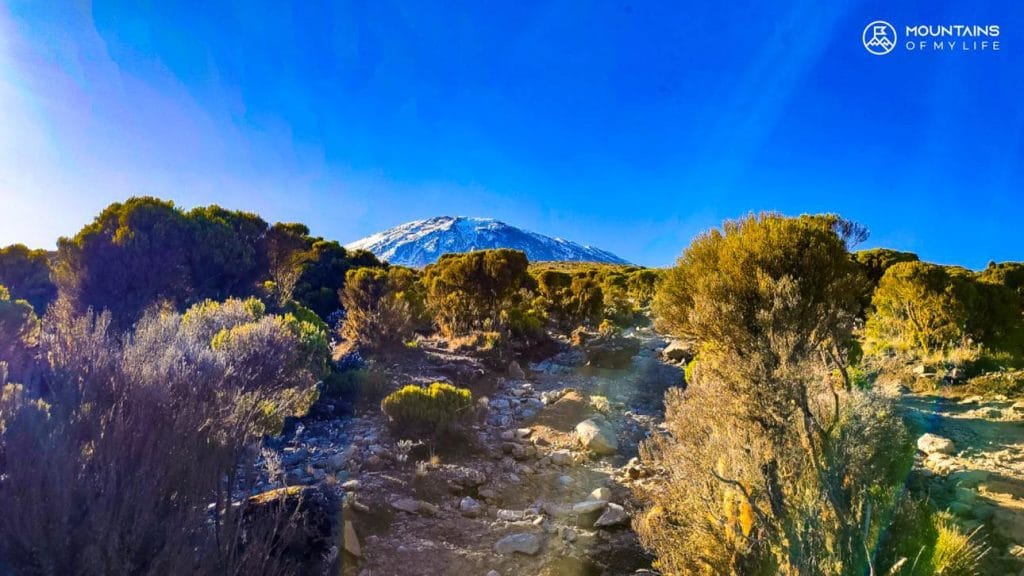 Kilimanjaro Tanzania