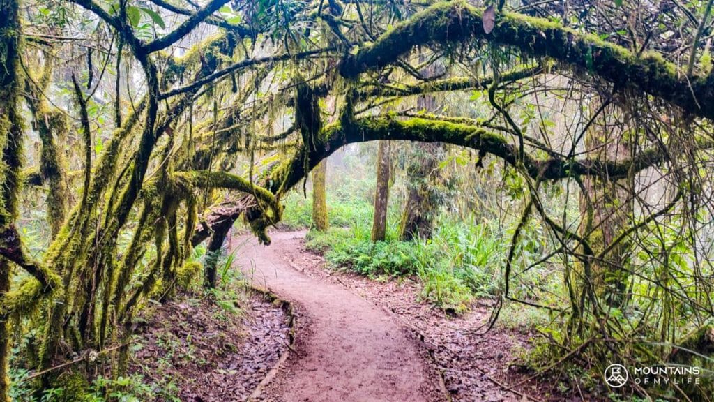 Kilimanjaro Tanzania