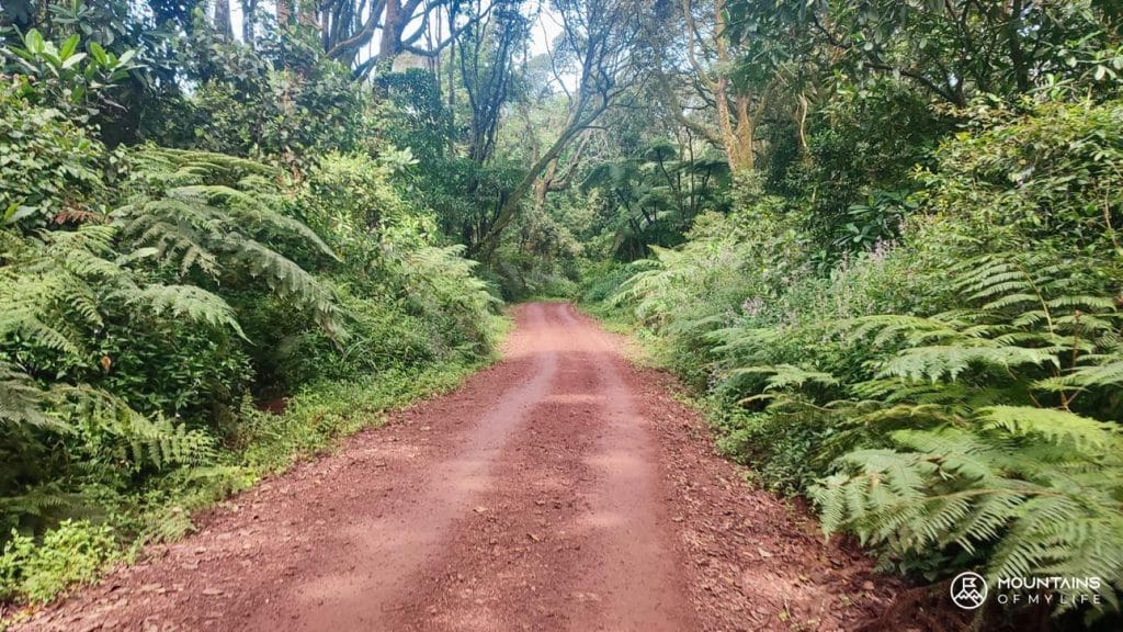 Kilimanjaro Tanzania