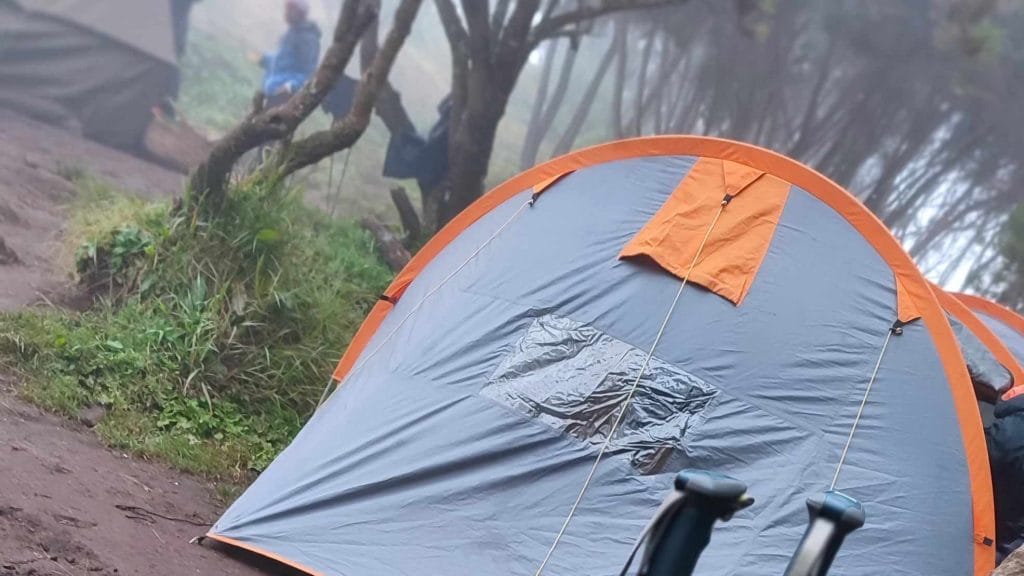 Kilimanjaro Tanzania Machame