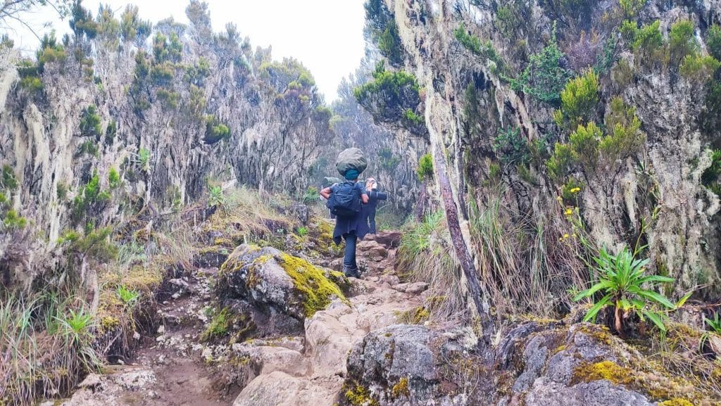 Kilimanjaro Tanzania Machame route