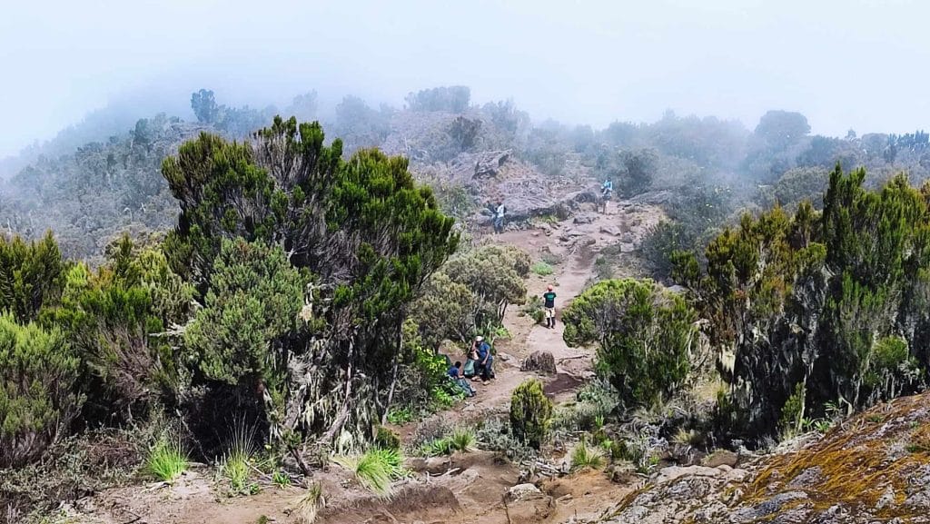 Kilimanjaro Tanzania Machame Camp Shira 2 Camp